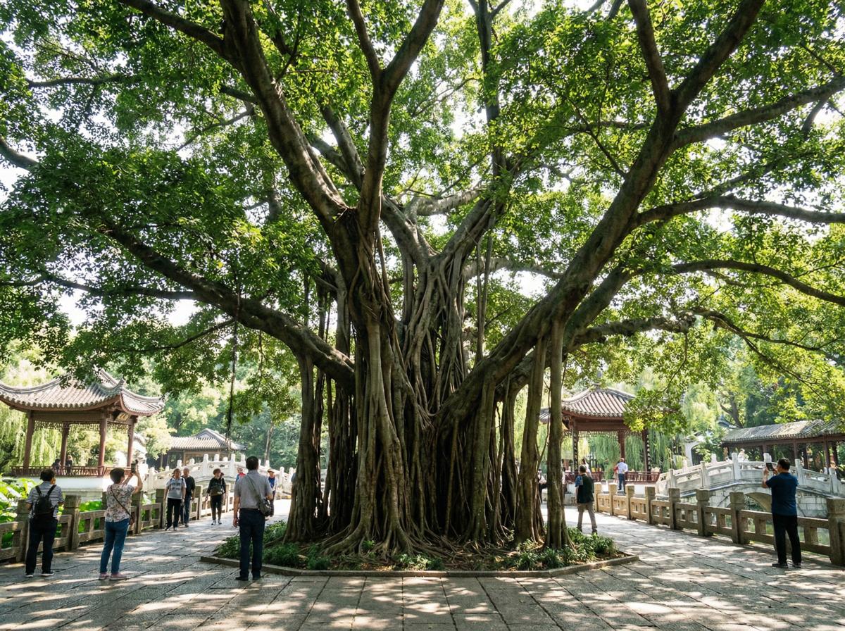 丝瓜视频生态顾问